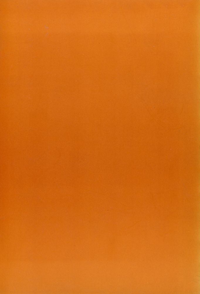 『Essays on Aristotle's poetics』 4