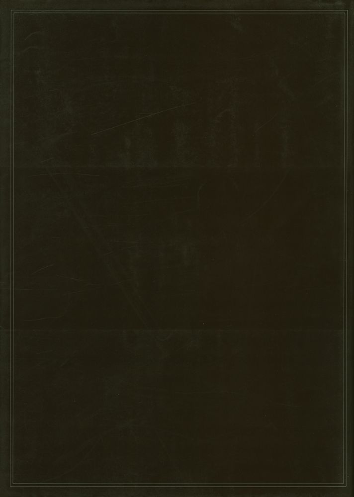 『慶州南山 : 新羅淨土의 佛像(경주남산 : 신라정토의 불상)』 3