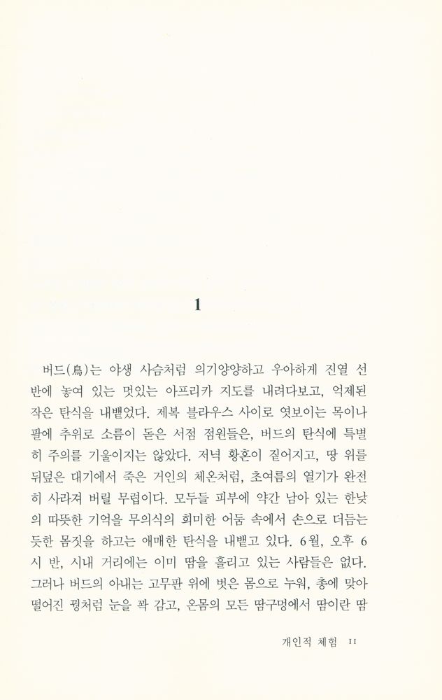 『오에 겐자부로 소설문학 전집 6 - 개인적 체험』 2