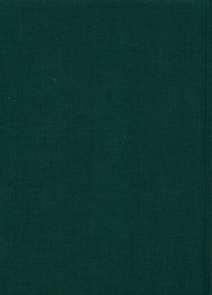 『The dictionary of art 26 : Raphon to Rome, ancient, II : Architecture』 4