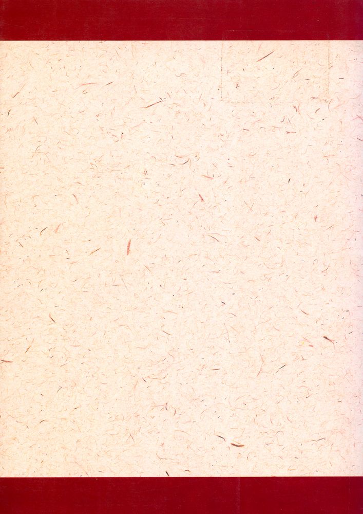 『魏晋南北朝史(위진남북조사)』 4