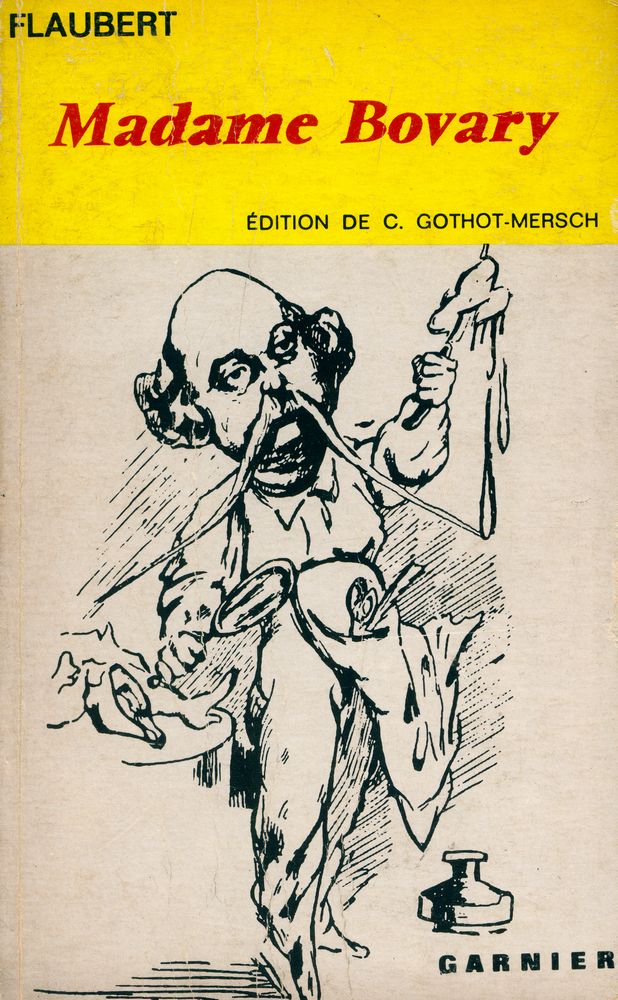 『Madame Bovary : Mœurs de province』 1