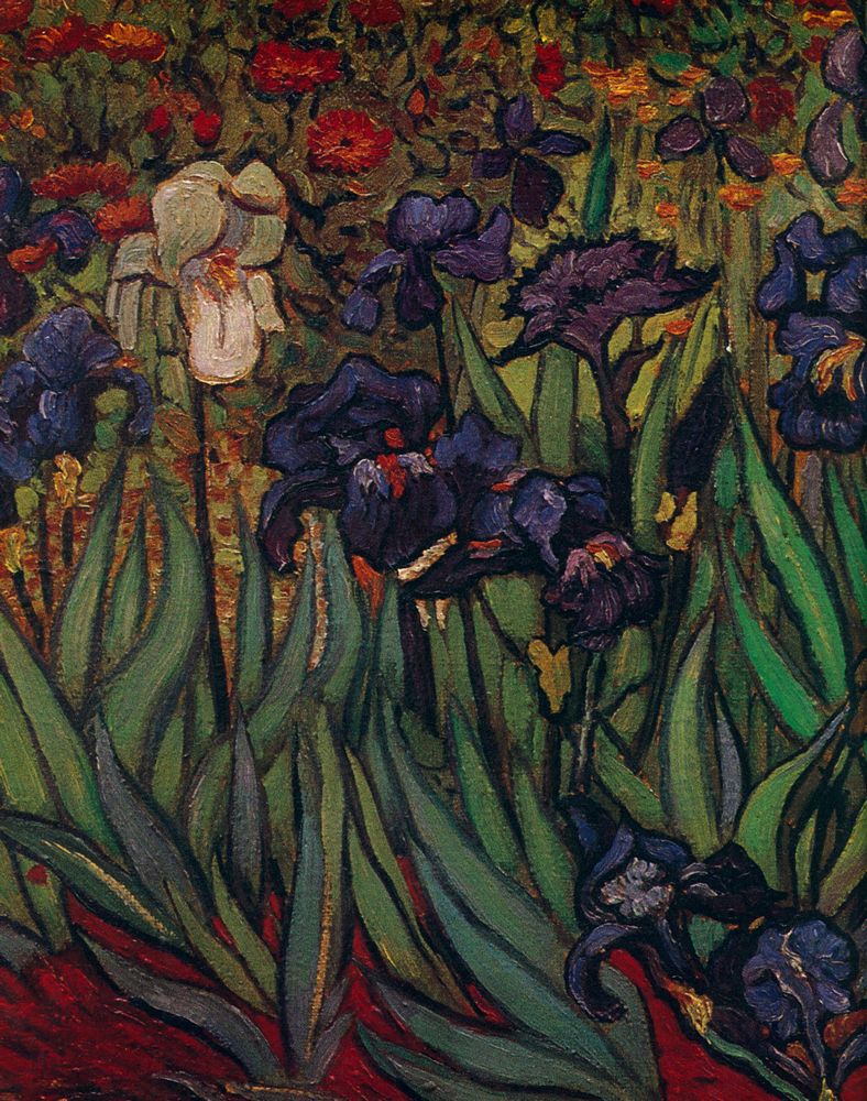 『TABLEAUX DE L'ATELIER DE MIGUEL CANALS』 3