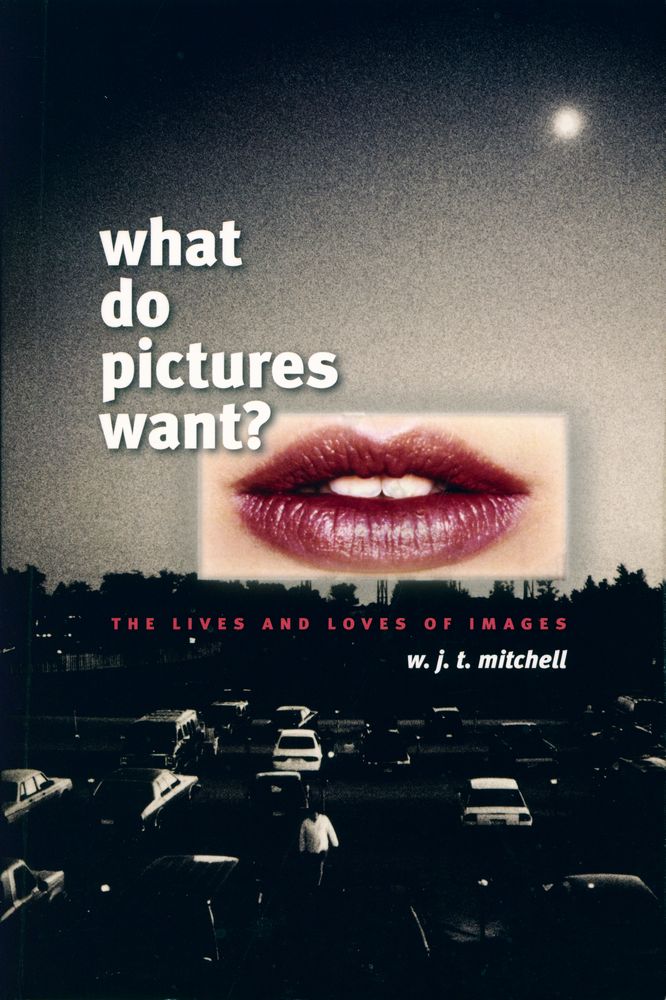 『What do pictures want? : the lives and loves of images』 1