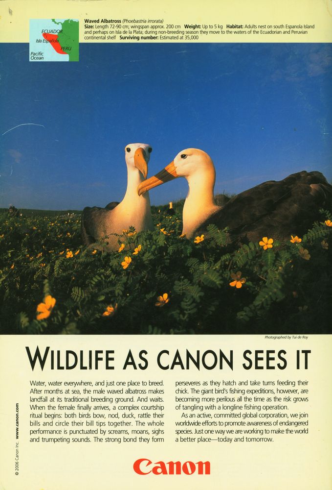 『NATIONAL GEOGRAPHIC』 FEBRUARY 2006 3