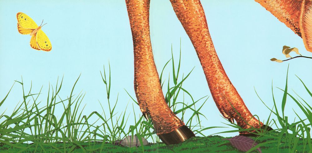 『IN THE WOODS』 2