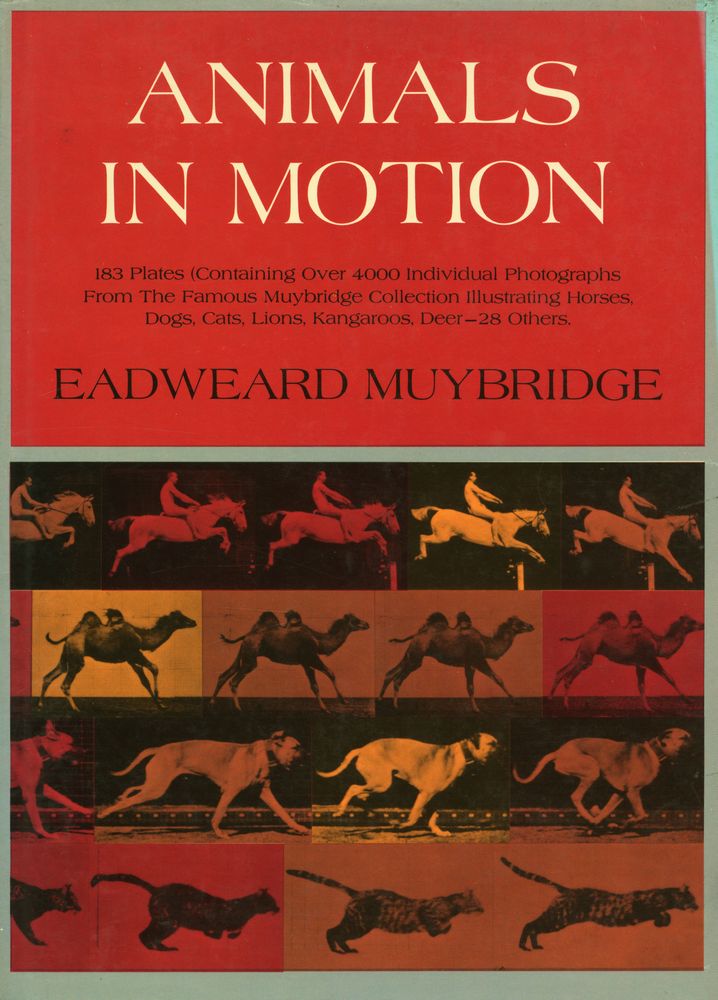 『ANIMALS IN MOTION』 1