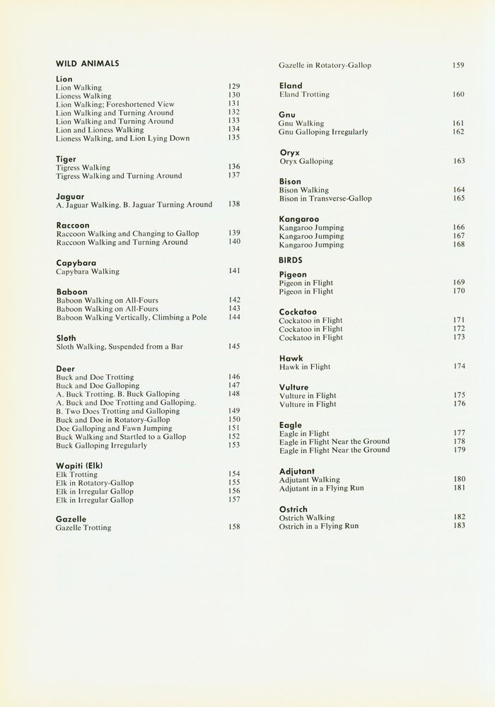 『ANIMALS IN MOTION』 4
