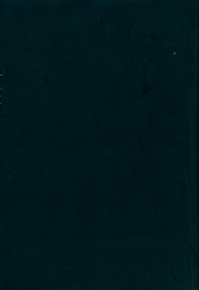 『Refiguring American film genres : history and theory』 4