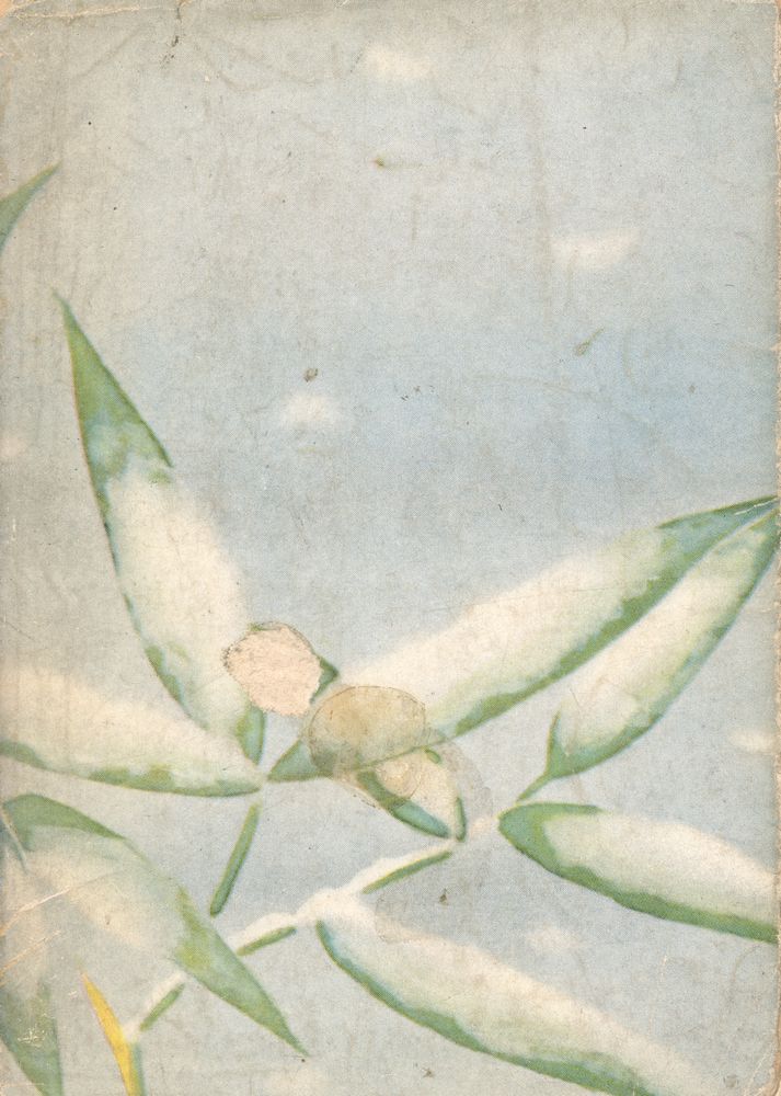 『細雪 上巻』 3