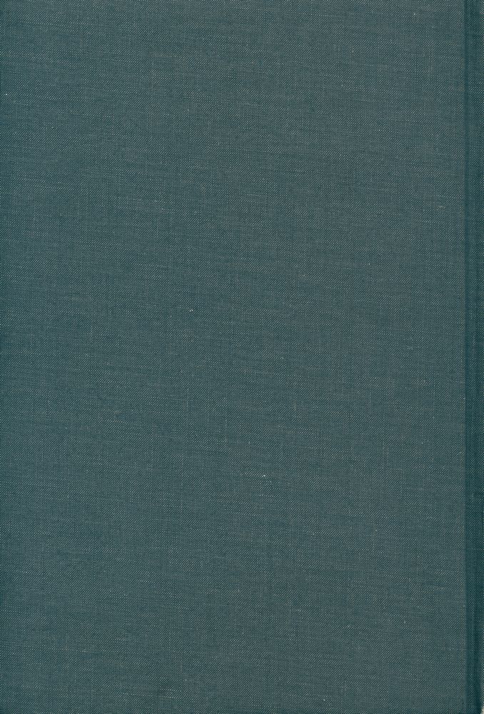 『Telos』 (No.80.81) 1989 7
