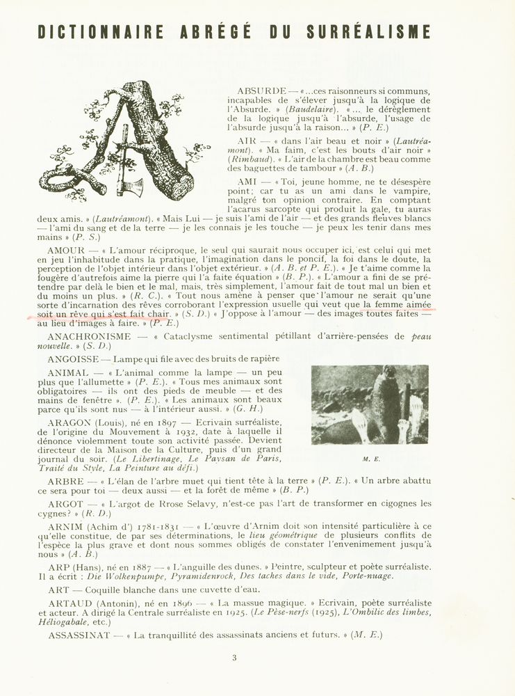 『DICTIONNAIRE ABRÉGÉ DU SURRÉALISME』 2