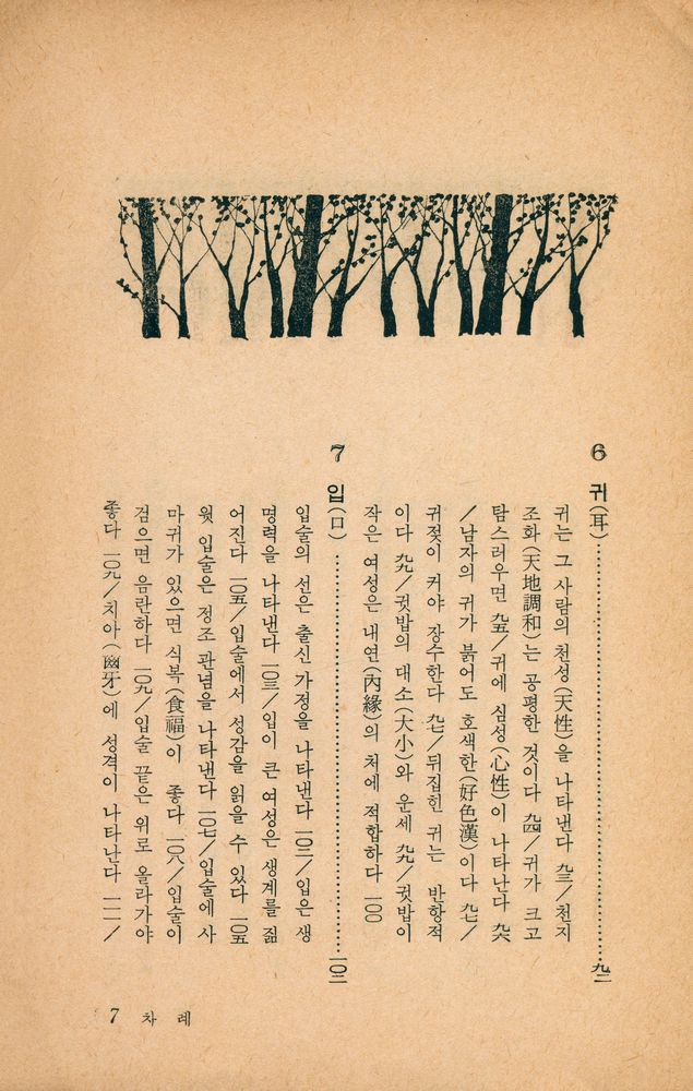 『觀相術 : 사랑의 人相學(관상술 : 사랑의 인상학)』 6