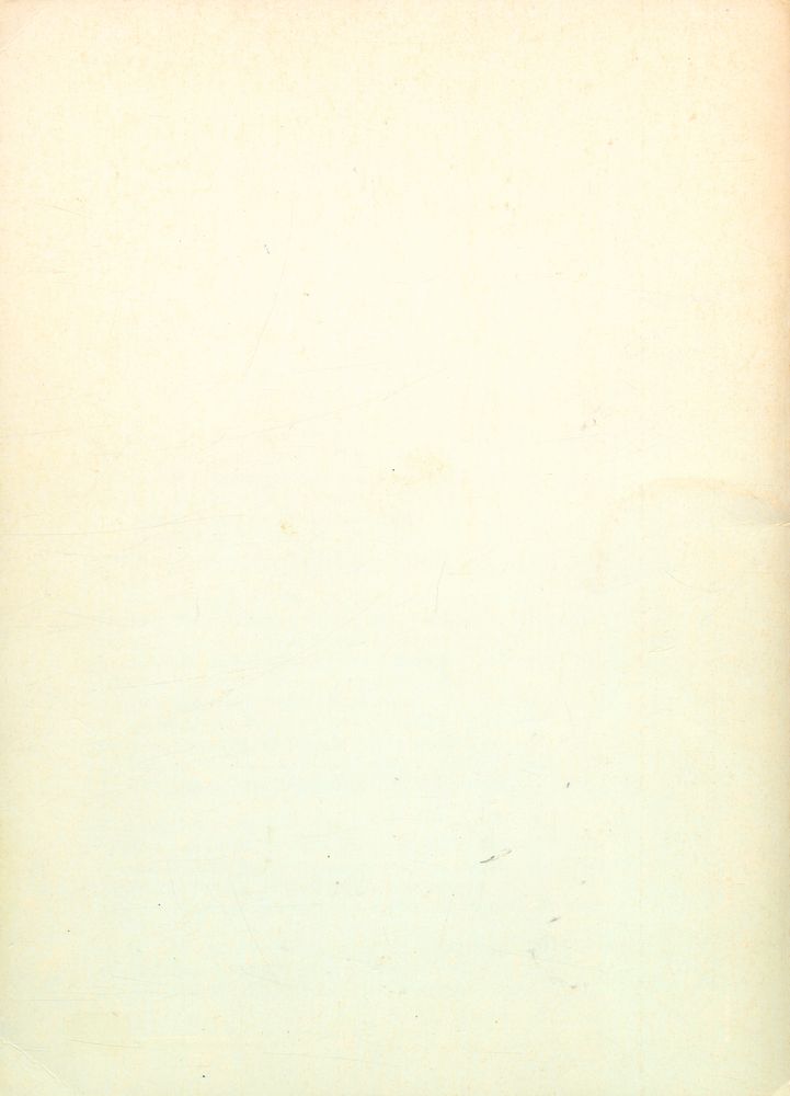 『IRIS』 No. 9, Spring 1989 3