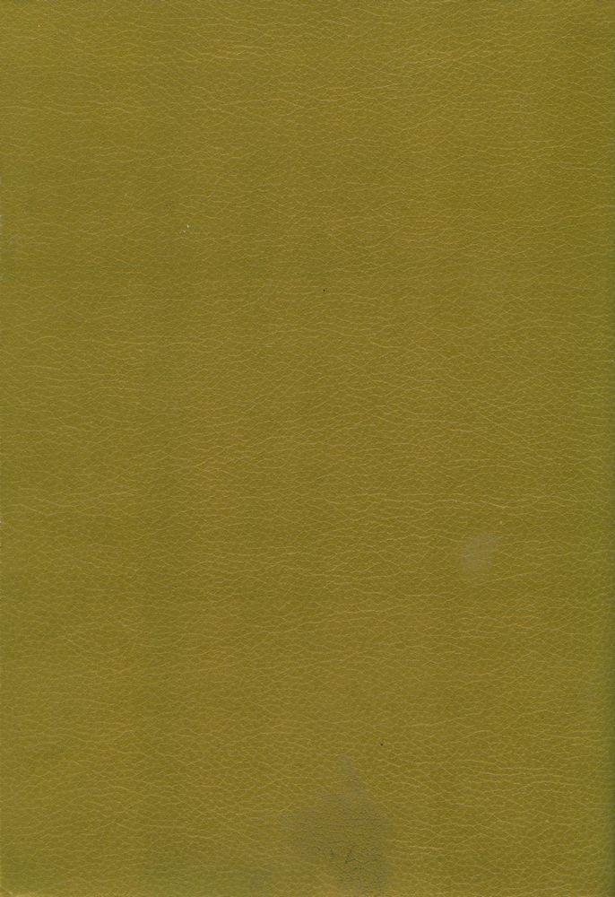 『Calligrammes』 5