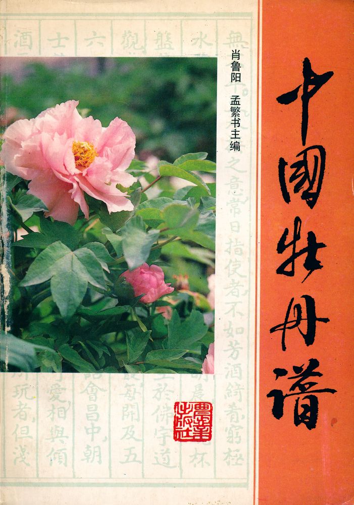 『中国牡丹谱』 1