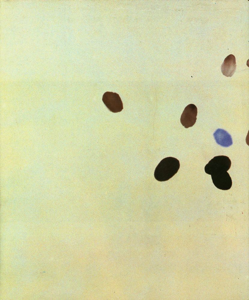『郭仁植의 芸術世界(곽인식의 예술세계)』 3