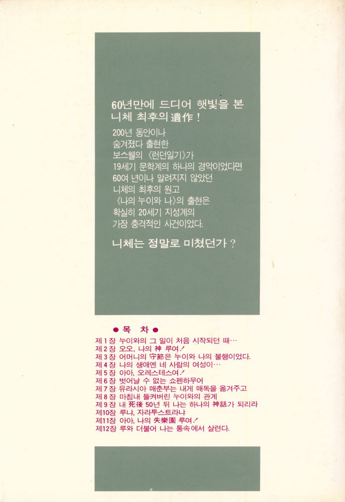 『나의 누이와 나 : 니체 최후의 고백』 3
