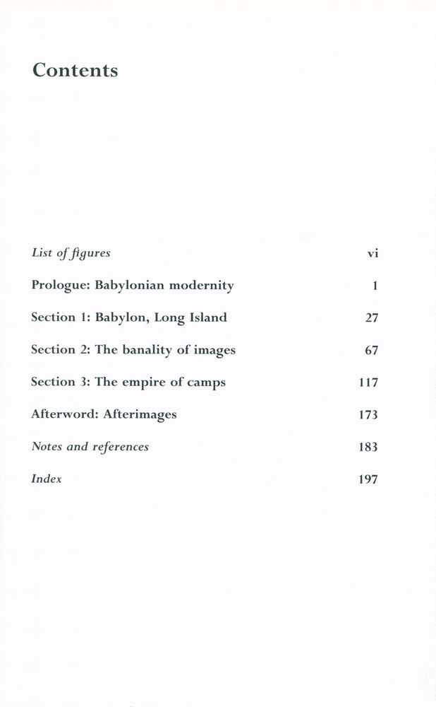 『Watching Babylon : The war in Iraq and global visual culture』 2