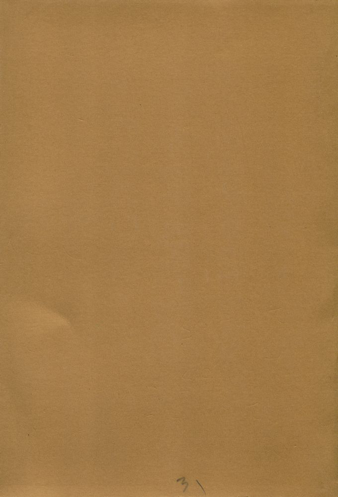 『LE CAS OTTO WEININGER : Racines de l'antiféminisme et de l'antisémitisme』 3