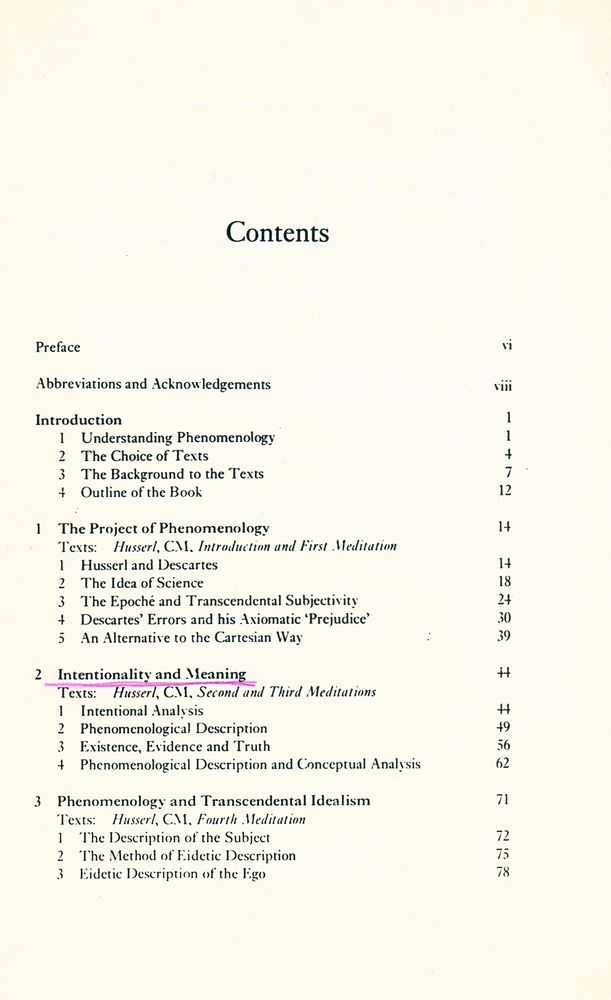 『Understanding Phenomenology』 2