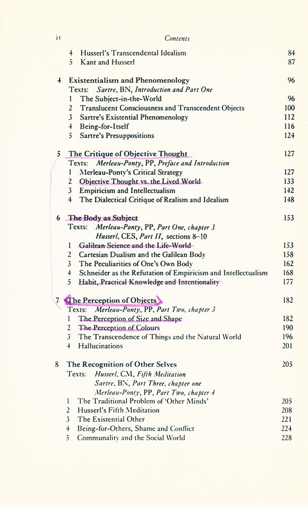 『Understanding Phenomenology』 3