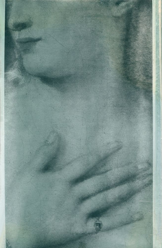 『감각의 박물학』 4