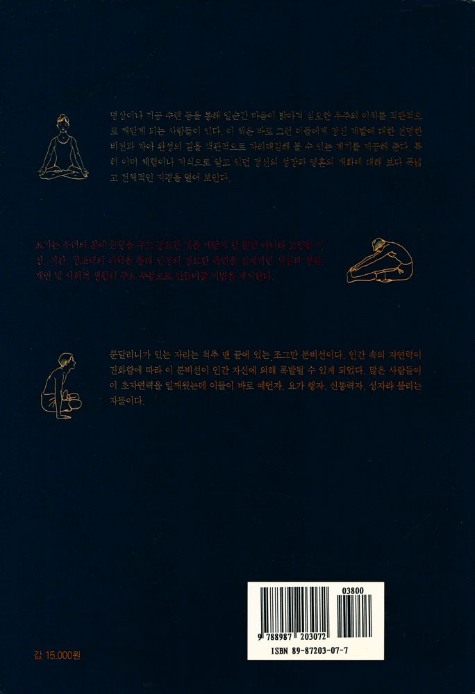 『정신과학총서 4 - 쿤달리니 탄트라 : 현대인을 위한 인도 요가의 결정판』 5