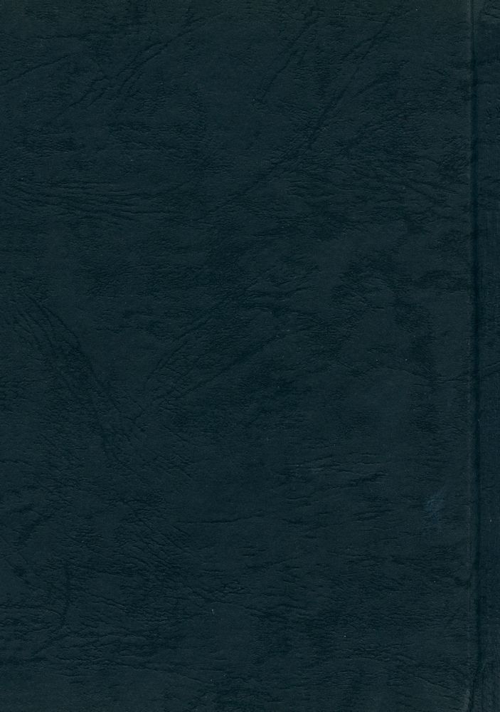 『미켈란젤로의 딸』 3