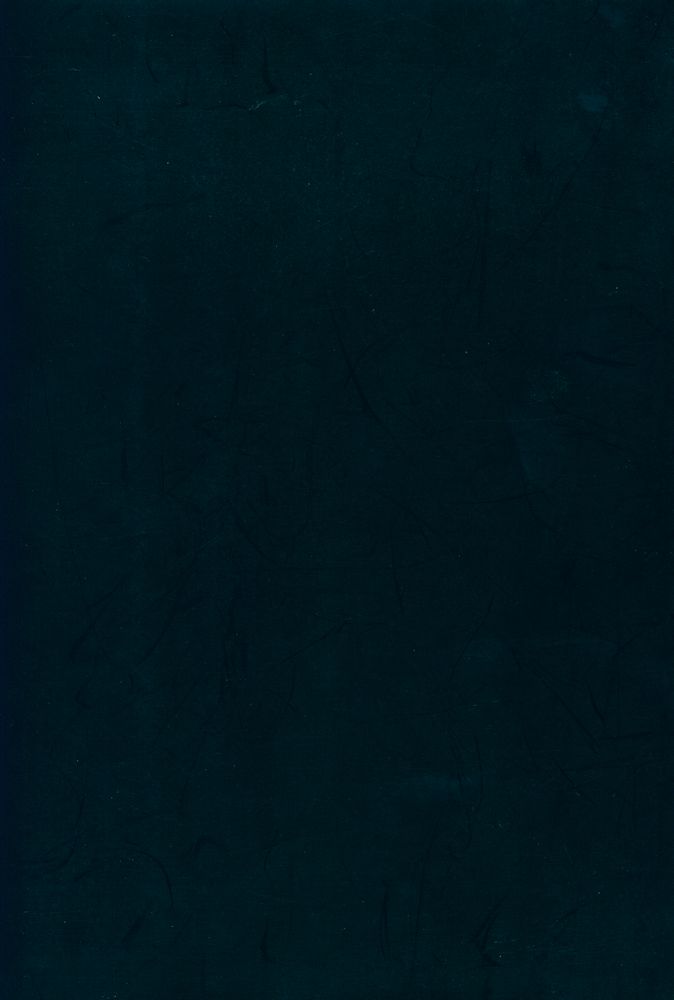 『TEXT : The Genealogy of an Antidisciplinary Object』 3