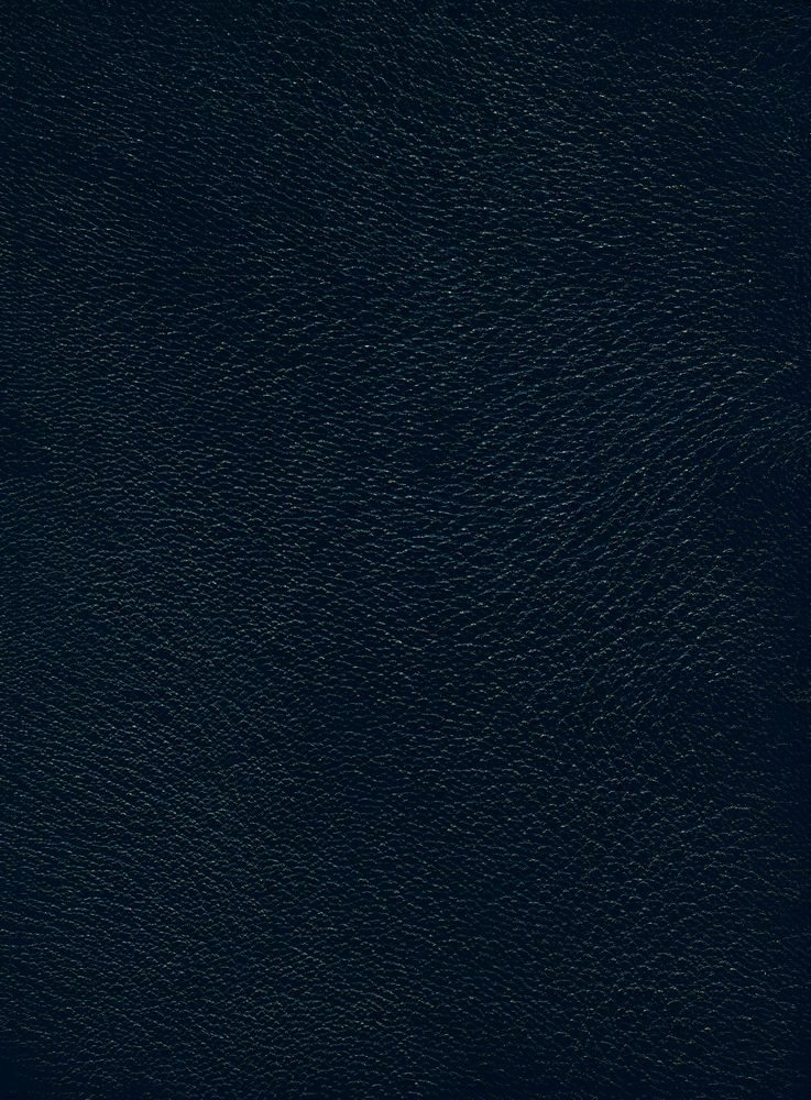 『GRANDE COLLECTION TRIANON N.3 : LA PEAU DE CHAGRIN』 3