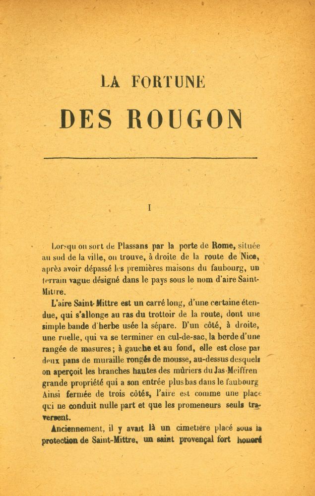 『LA FORTUNE DES ROUGON』 2