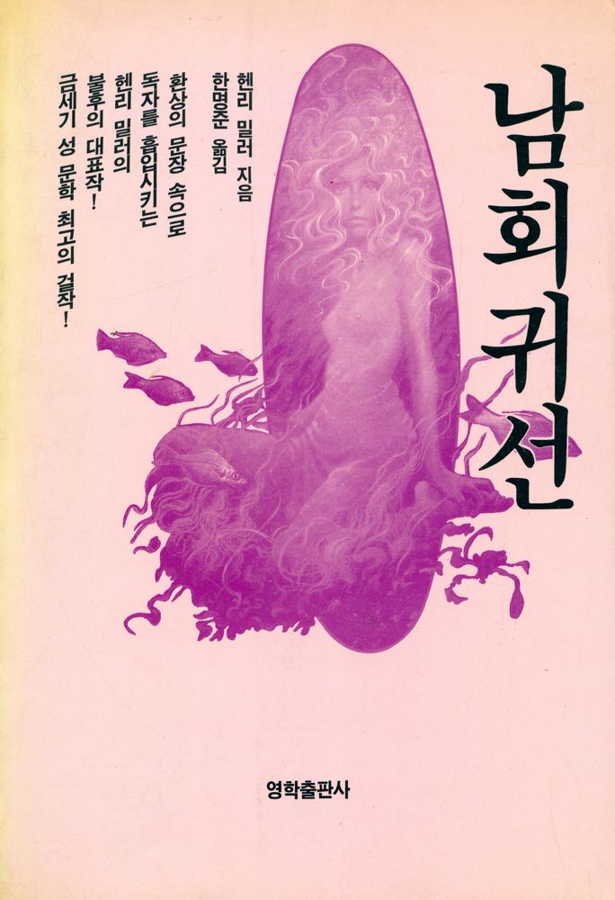 『남회귀선』 1