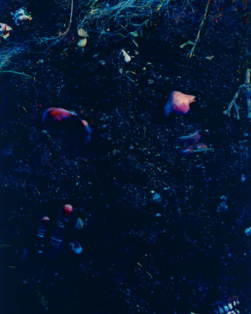 『Cindy Sherman : Untitled Horrors』 1