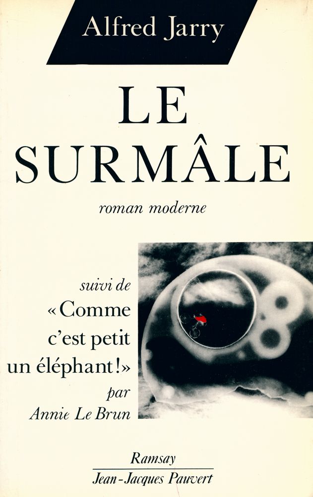 『LE SURMÂLE : roman moderne』 1