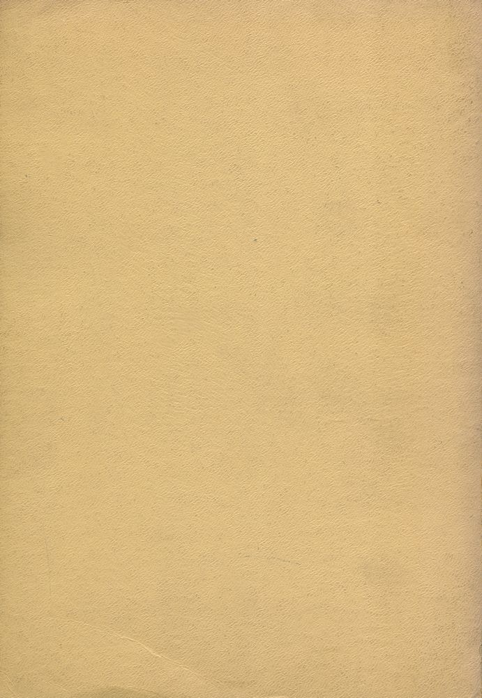 『ART AND THE TYRANNY OF THE AESTHETIC』 3