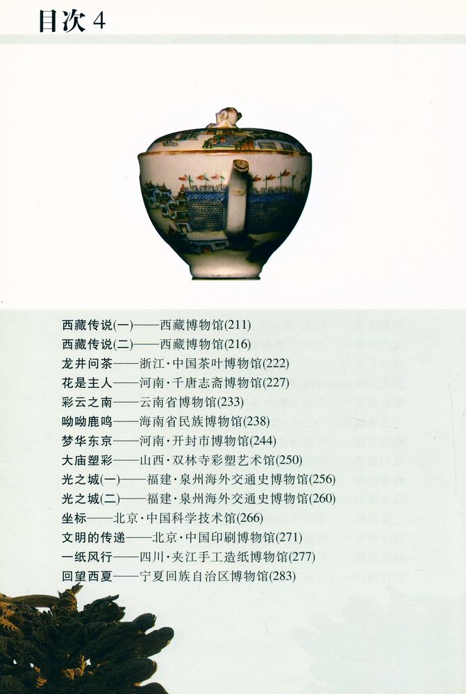 『藏着的中国』 3