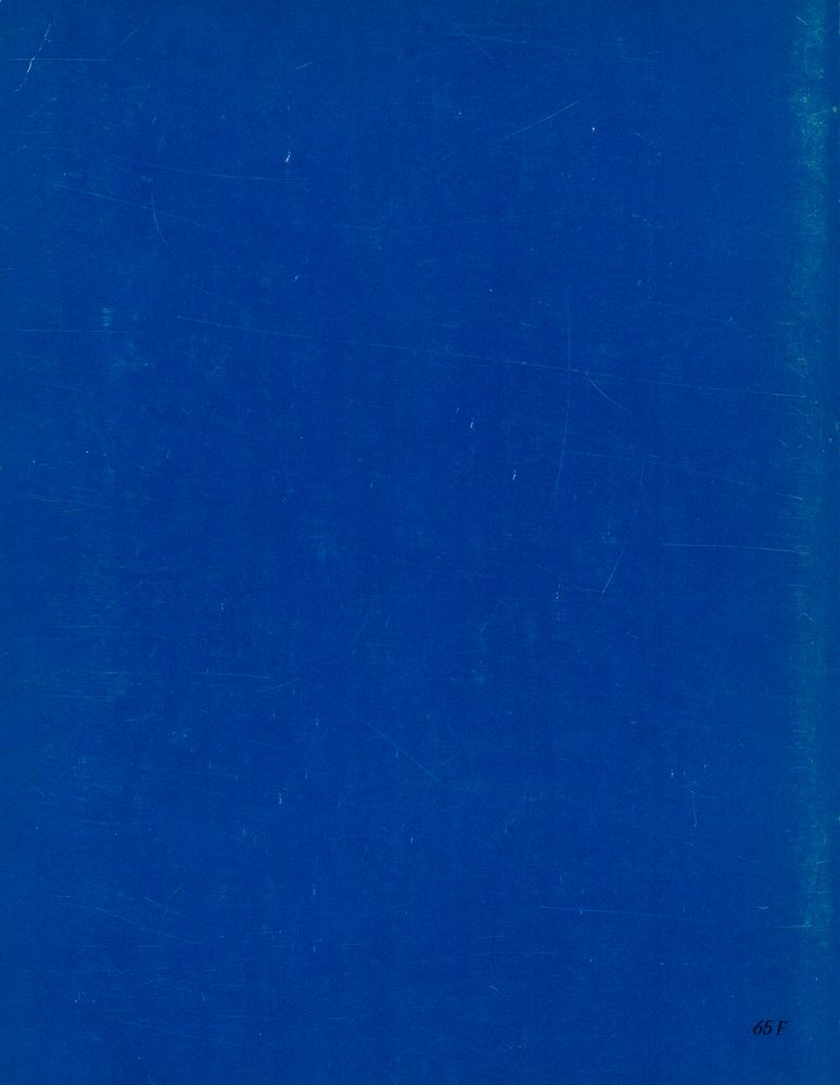 《Saint Sébastien : rituels et figures》 3