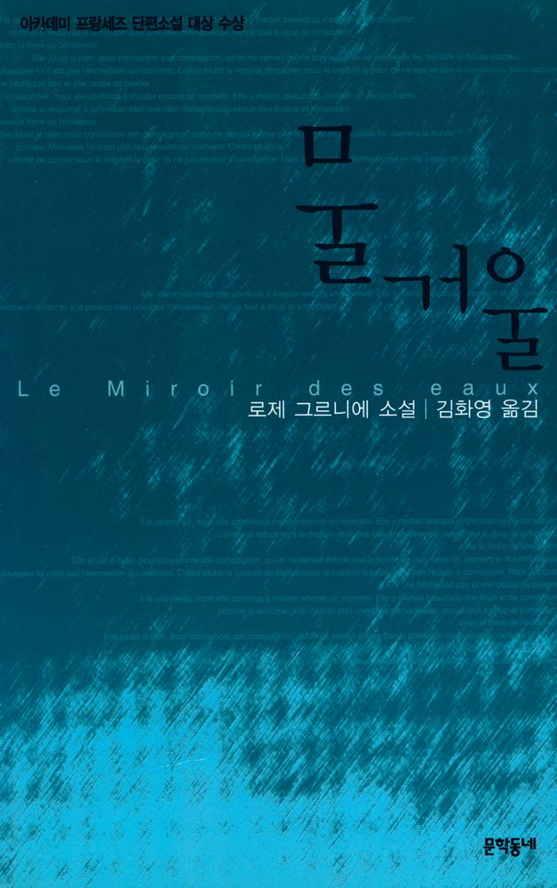 『문학동네 세계문학 - 물거울』 1