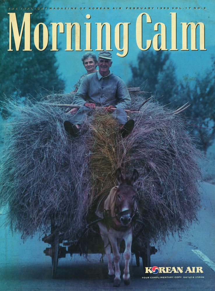 『Morning Calm』 FEBRUARY 1993 VOL.17 no.2 1