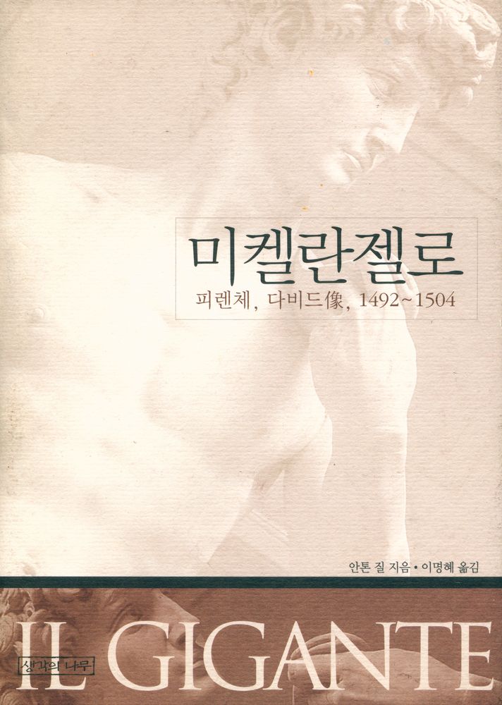 『미켈란젤로 : 피렌체, 다비드像, 1492~1504(미켈란젤로 : 피렌체, 다비드상, 1492~1504)』 1