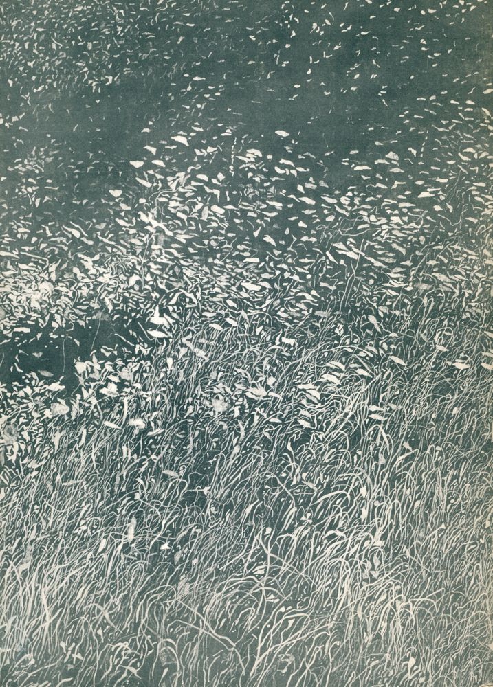 《Cueco : Paysage dessiné 》 3