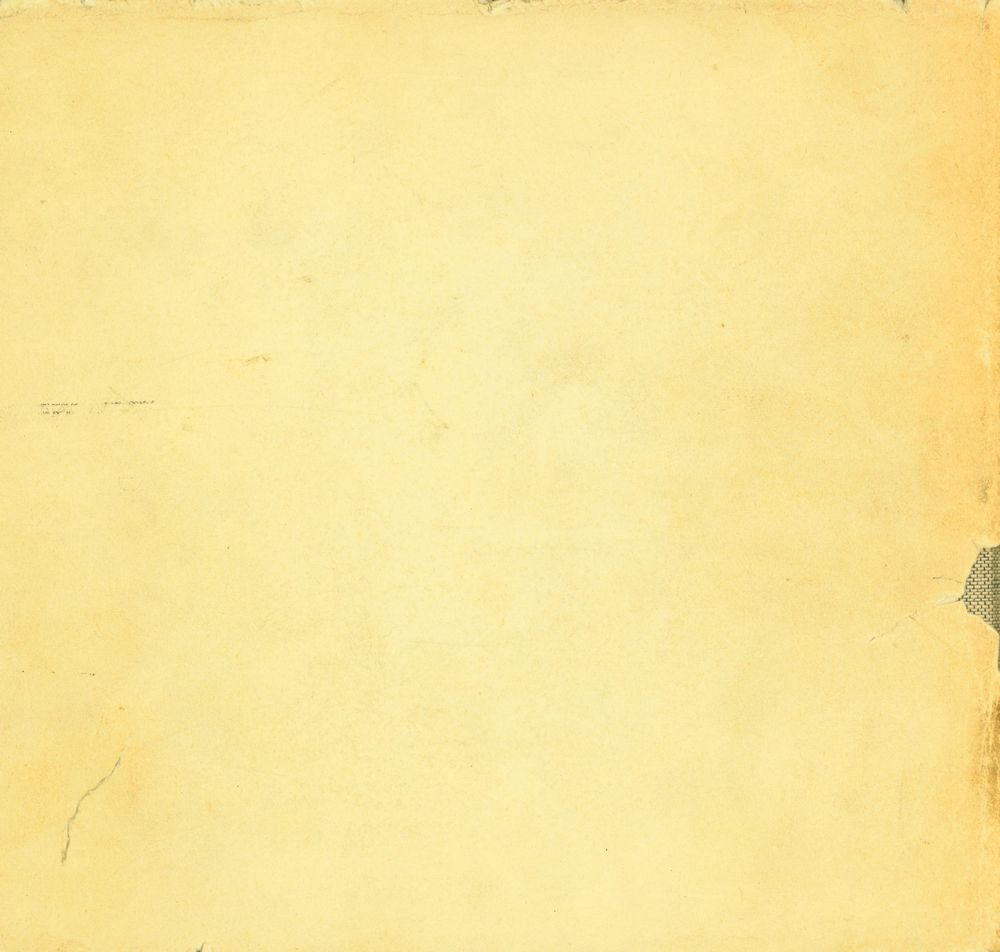 『Max Ernst』 6