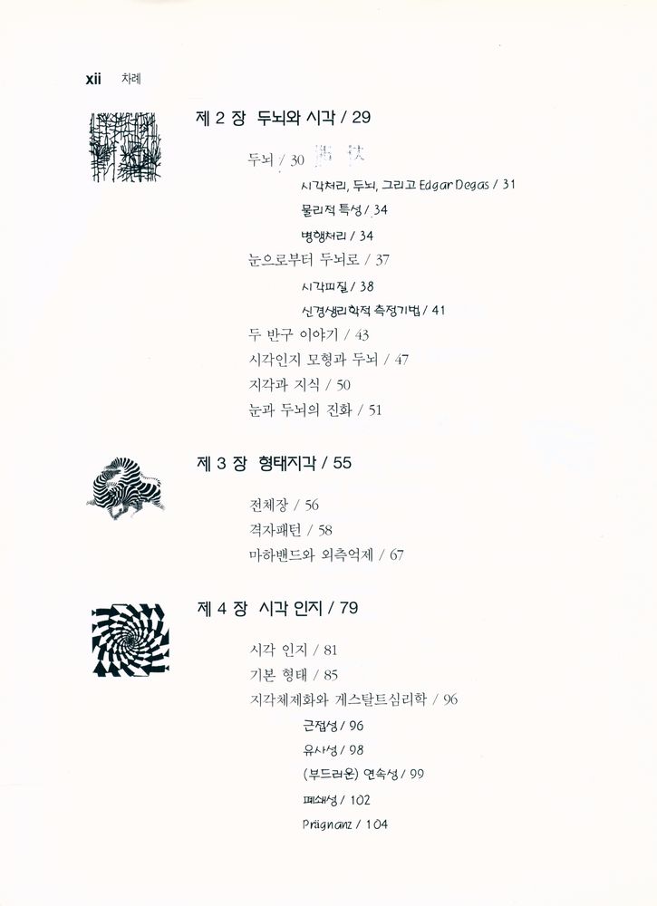 『시각심리학 Cognition & the Visual Art』 3