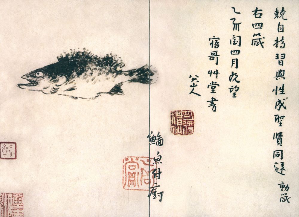 『中国名画欣赏 · 第四辑 : 八大山人(花鸟一)』 3