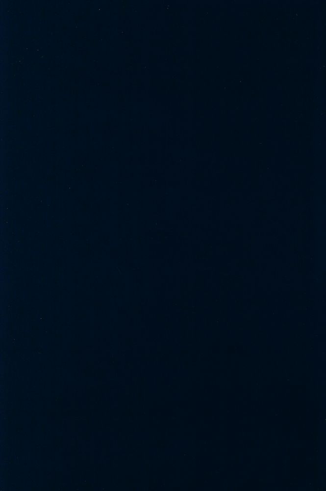 『Writing the Image After Roland Barthes』 4