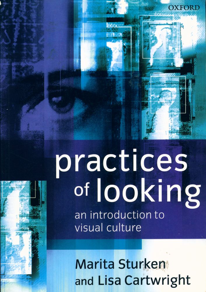 『practices of looking : an introduction to visual culture』 1