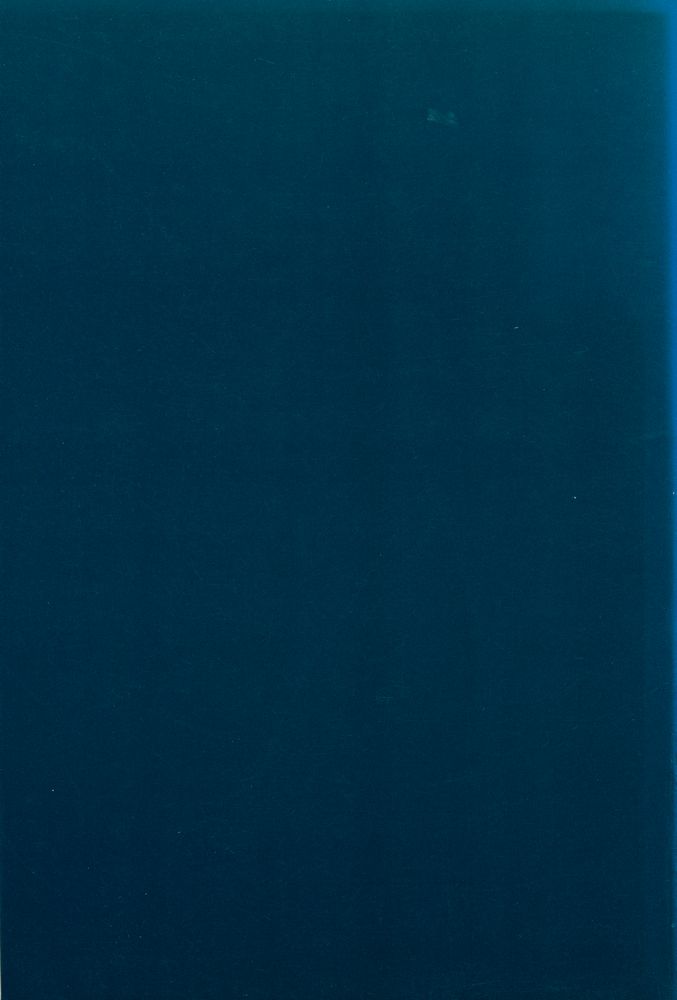 『Postmodern Narrative Theory』 4