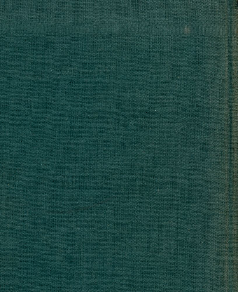 『FLEMISH PAINTING FROM VAN EYCK TO BRUEGHEL』 4