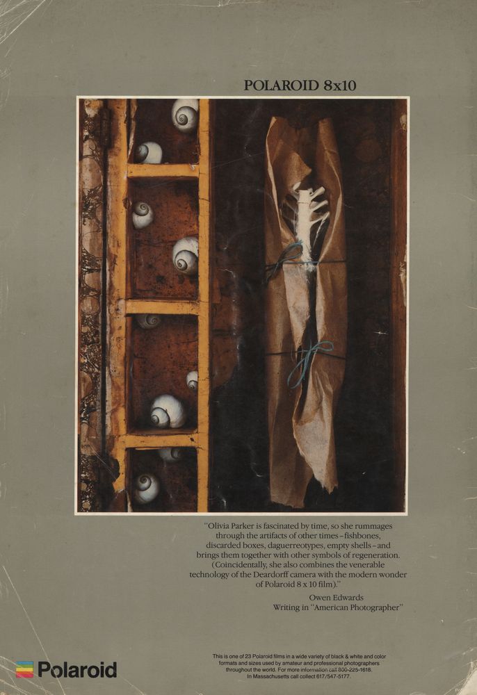 『PHOTOSHOW』  #1 3